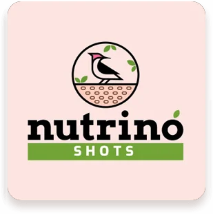 CoreTech Studio Banner Slider