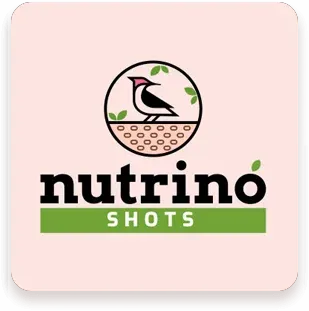 CoreTech Studio Banner Slider