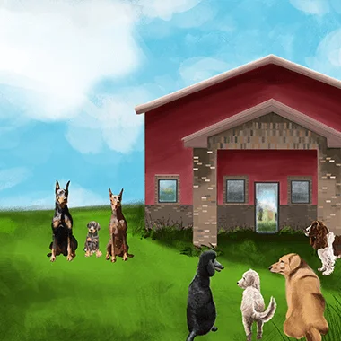 Children Illustration Design Portfolio