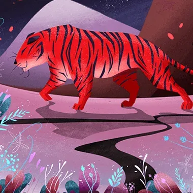 Children Illustration Design Portfolio